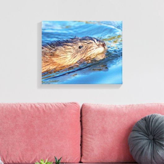 14x11 Muskrat op Vassar Boerderijen Ecological Pre Canvas Afdruk (Insitu (Woonkamer))