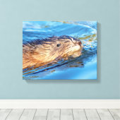 14x11 Muskrat op Vassar Boerderijen Ecological Pre Canvas Afdruk (Insitu (Houten vloer))