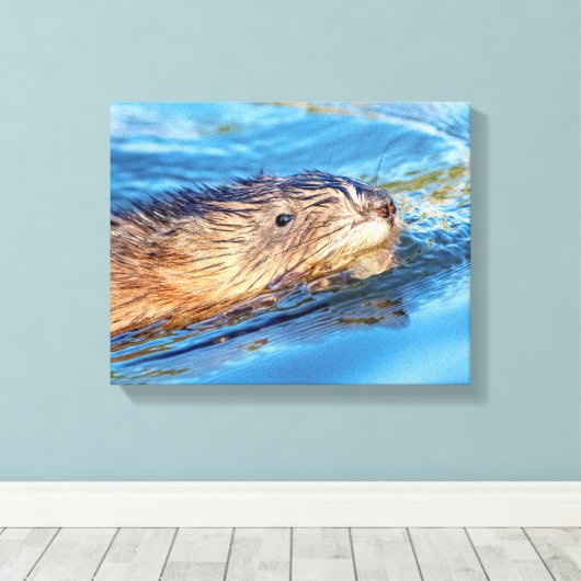 14x11 Muskrat op Vassar Boerderijen Ecological Pre Canvas Afdruk (Insitu (Houten vloer))