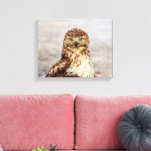 14x11 onvolgroeide Rode Hawk op de grond Canvas Afdruk (Insitu (Woonkamer))