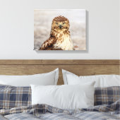 14x11 onvolgroeide Rode Hawk op de grond Canvas Afdruk (Insitu (Slaapkamer))