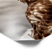 14x11 onvolgroeide Rode Hawk op de grond Foto Afdruk (Hoek)