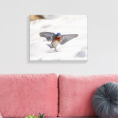14x11 oostelijke Bluebird dansend in de sneeuw Canvas Afdruk (Insitu (Woonkamer))