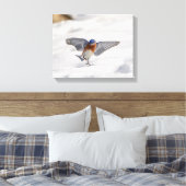 14x11 oostelijke Bluebird dansend in de sneeuw Canvas Afdruk (Insitu (Slaapkamer))