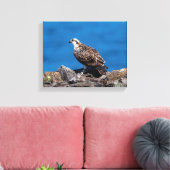 14x11 Osprey op de rotsen Canvas Afdruk (Insitu (Woonkamer))