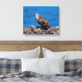 14x11 Osprey op de rotsen Canvas Afdruk (Insitu (Slaapkamer))