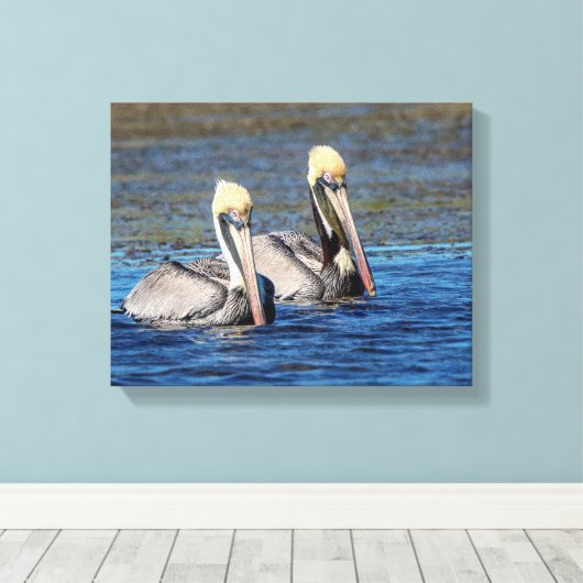 14x11 Paar Pelicans Canvas Afdruk (Insitu (Houten vloer))