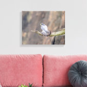 14x11 Peregrine Falcon bij de Palisades Interstate Canvas Afdruk (Insitu (Woonkamer))