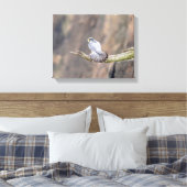 14x11 Peregrine Falcon bij de Palisades Interstate Canvas Afdruk (Insitu (Slaapkamer))