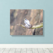 14x11 Peregrine Falcon bij de Palisades Interstate Canvas Afdruk (Insitu (Houten vloer))