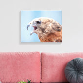 14x11 Red schuurde Hawk Canvas Afdruk (Insitu (Woonkamer))