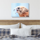 14x11 Red schuurde Hawk Canvas Afdruk (Insitu (Slaapkamer))