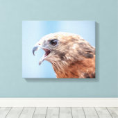 14x11 Red schuurde Hawk Canvas Afdruk (Insitu (Houten vloer))