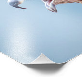 14x11 Red schuurde Hawk Foto Afdruk (Hoek)