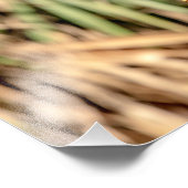 14x11 Red schuurde Hawk in een boom Foto Afdruk (Hoek)