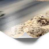 14x11 Red schuurde Hawk op een rots Foto Afdruk (Hoek)