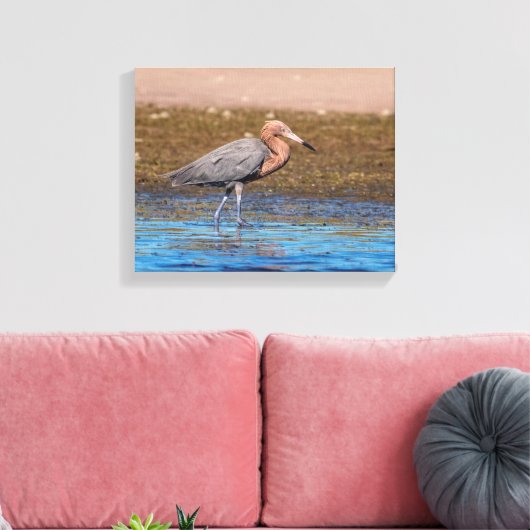 14x11 roodbaars op de noordstrand canvas afdruk (Insitu (Woonkamer))