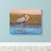 14x11 roodbaars op de noordstrand canvas afdruk (Insitu (Houten vloer))