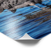 14x11 roodbaars op de noordstrand foto afdruk (Hoek)