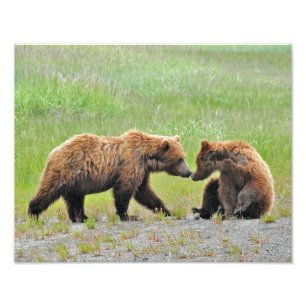 14x11 Satin foto van grizzly beer cubs Foto Afdruk