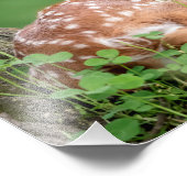 14x11 Schattige baden onder een boom Foto Afdruk (Hoek)