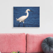 14x11 Snowy Egret op Noordstrand Canvas Afdruk (Insitu (Woonkamer))
