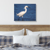 14x11 Snowy Egret op Noordstrand Canvas Afdruk (Insitu (Slaapkamer))