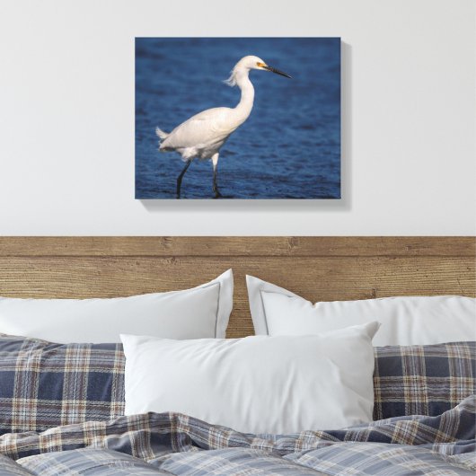 14x11 Snowy Egret op Noordstrand Canvas Afdruk (Insitu (Slaapkamer))