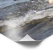 14x11 Witte Duitse Shepard op het George-meer Foto Afdruk (Hoek)