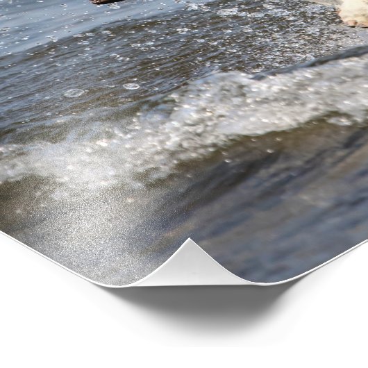 14x11 Witte Duitse Shepard op het George-meer Foto Afdruk (Hoek)