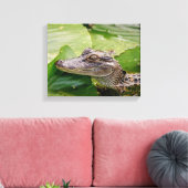 14x11 Young Alligator Canvas Afdruk (Insitu (Woonkamer))