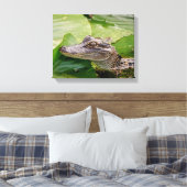 14x11 Young Alligator Canvas Afdruk (Insitu (Slaapkamer))