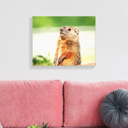 14x11 Young Groundhog Canvas Afdruk (Insitu (Woonkamer))