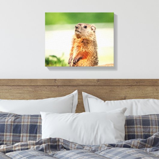 14x11 Young Groundhog Canvas Afdruk (Insitu (Slaapkamer))