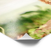 14x11 Young Groundhog Foto Afdruk (Hoek)