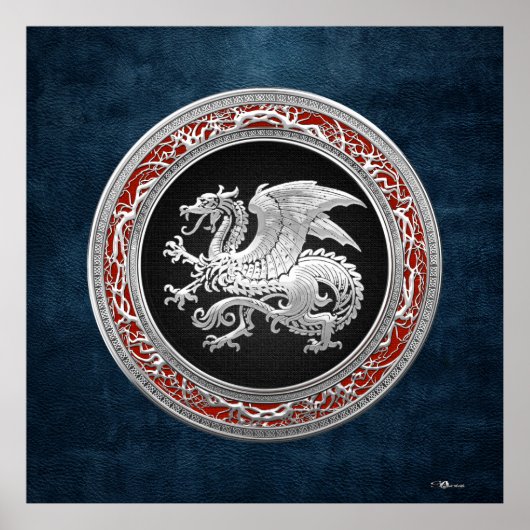 [150] IJslandse draak, Landvætir [Silver] Poster (Voorkant)