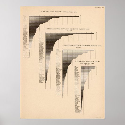 150 Varkens, vleesrunderen, schapen, paarden Poster (Voorkant)