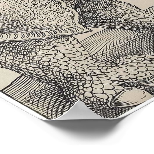 1515 DURER's RHINOCERUS Poster (Hoek)