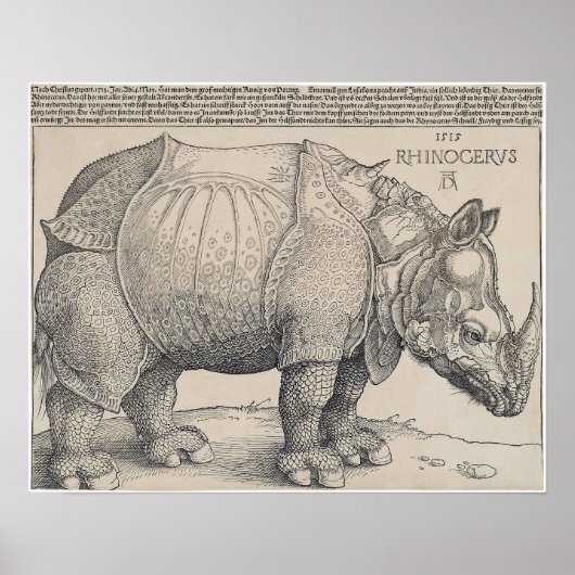 1515 DURER's RHINOCERUS Poster (Voorkant)