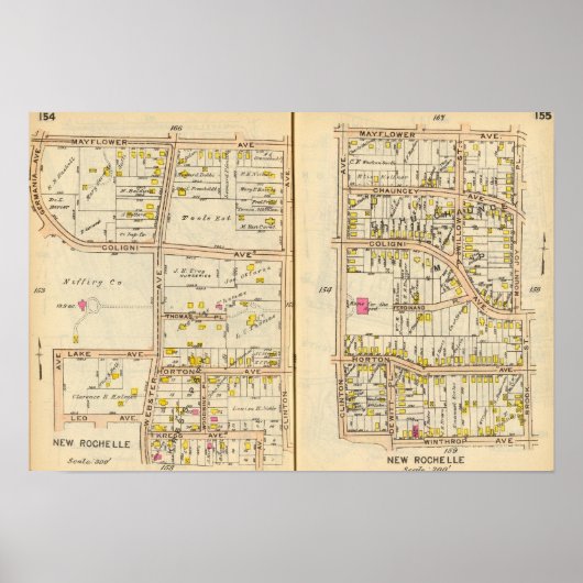 154155 Nieuwe Rochelle Poster (Voorkant)