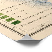 155 corn/acre poster (Hoek)