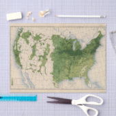 155 corn/acre tissuepapier (Craft)