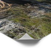 15693-RA Cowboy Poster (Hoek)