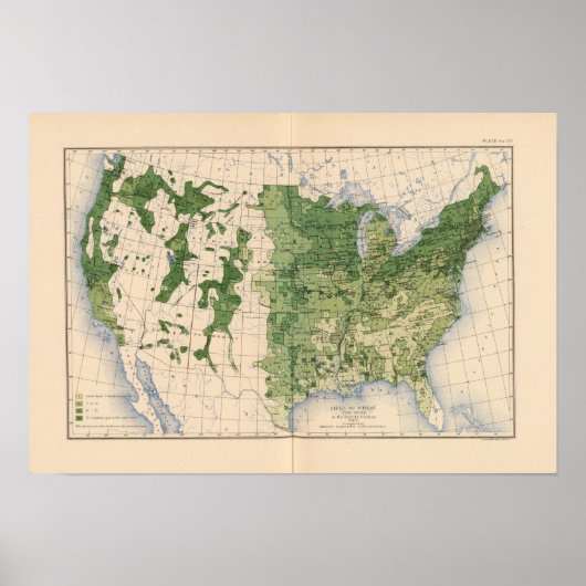 157 Tarwe/hectare Poster (Voorkant)