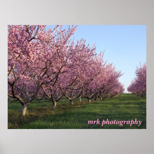 158 , mrk - fotografie poster (Voorkant)