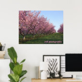 158 , mrk - fotografie poster (Thuiskantoor)
