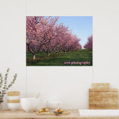 158 , mrk - fotografie poster (Keuken)