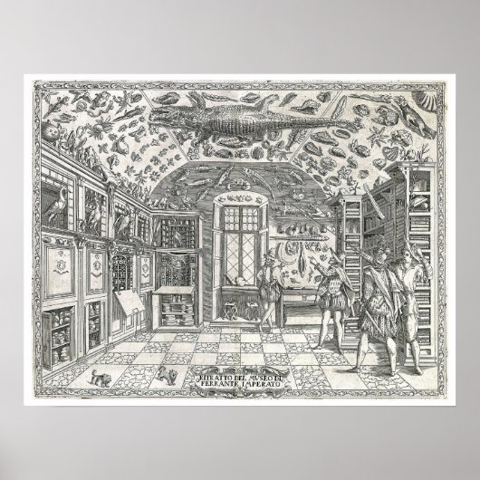 1590's Cabinet Of Curiosities - Archiefdruk Poster (Voorkant)