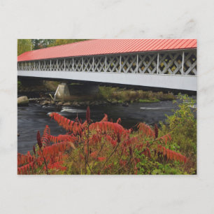 159-foot Ashuelot overdekte brug overspant Briefkaart