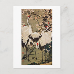 15. 梅 群 図, 若 Plum Blossom & Cranes, Jakuchüu Briefkaart